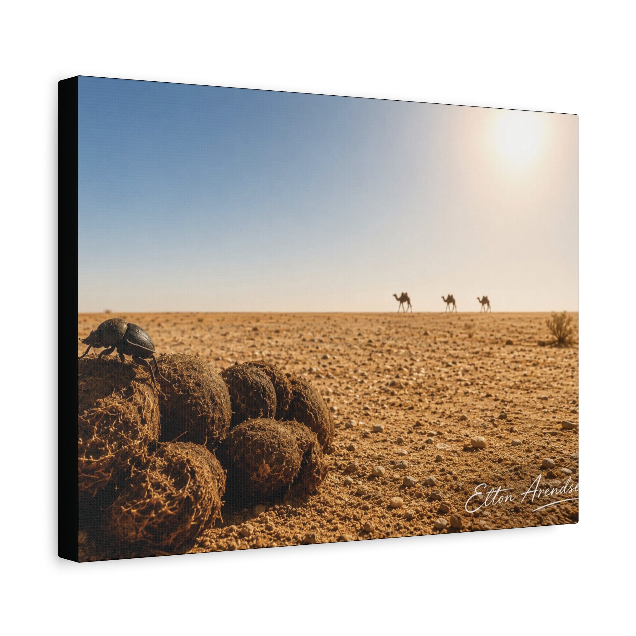 Desert Dunes Canvas Print — Sunlit Tumbleweeds & Distant Camels Matte Wall Art