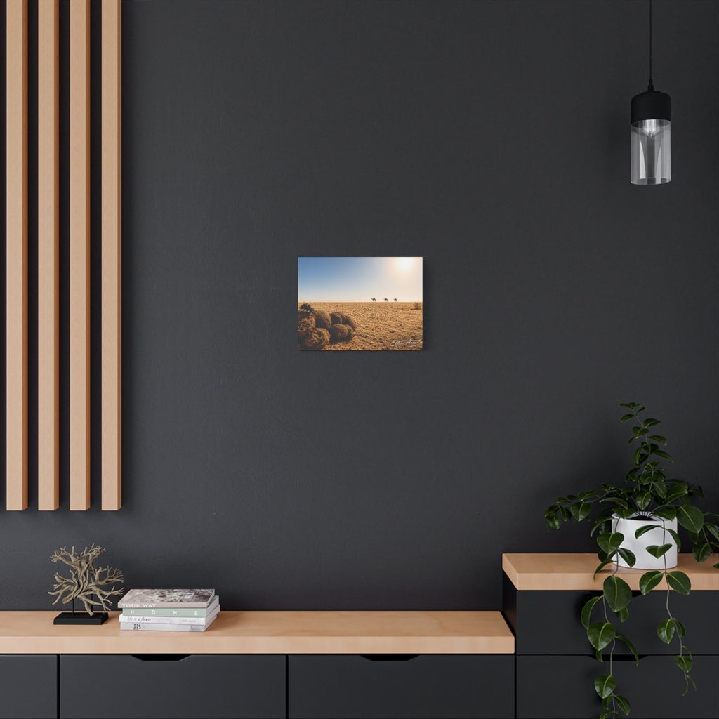 Desert Dunes Canvas Print — Sunlit Tumbleweeds & Distant Camels Matte Wall Art