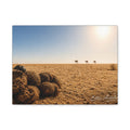 Desert Dunes Canvas Print — Sunlit Tumbleweeds & Distant Camels Matte Wall Art