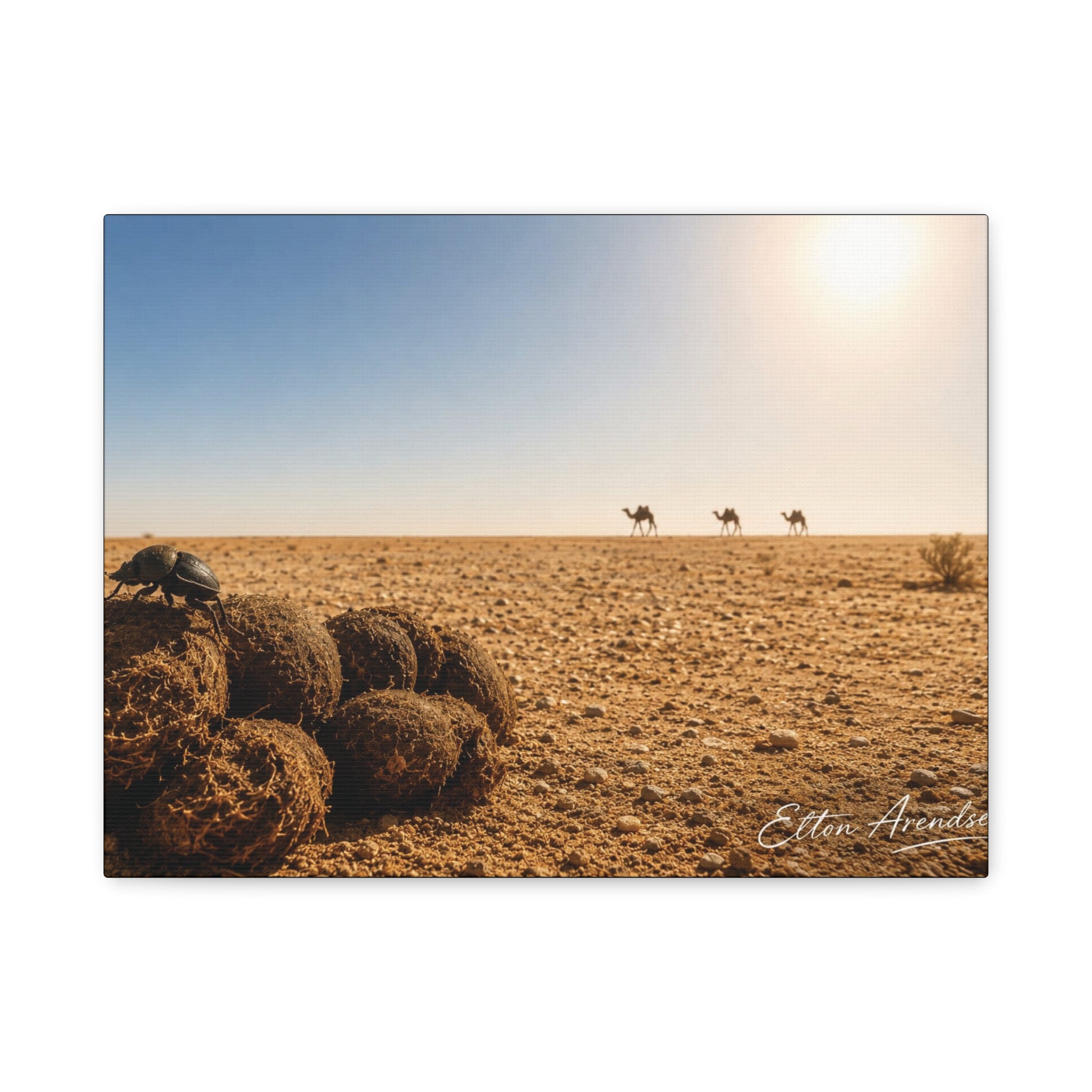 Desert Dunes Canvas Print — Sunlit Tumbleweeds & Distant Camels Matte Wall Art